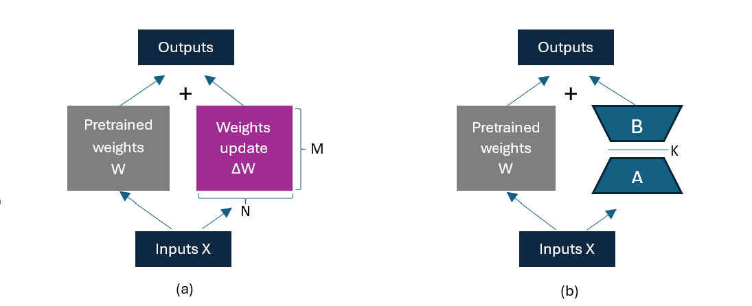 Weight update diagram