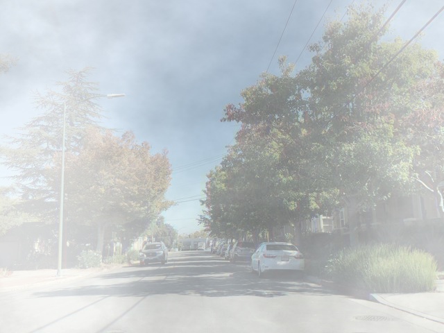 fog