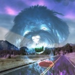 phase