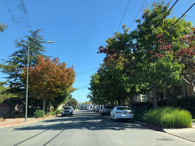 orig_street